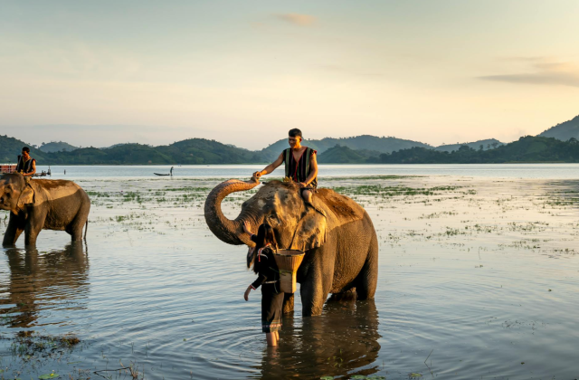 40 Expériences Incontournables à Vivre à Krabi, Thaïlande (Partie 4/4)